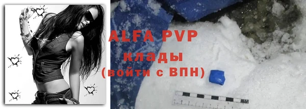 гашик Богородицк