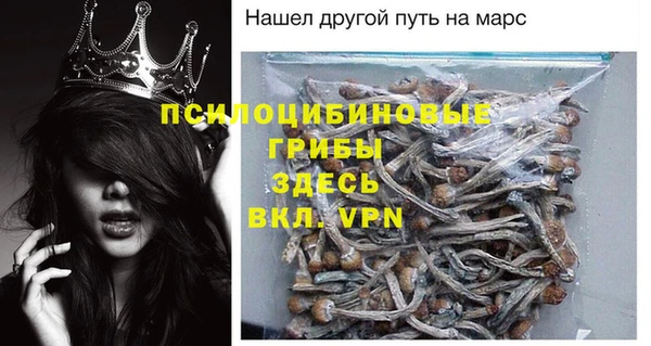 гашик Богородицк