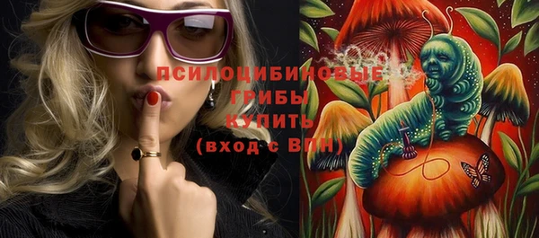 соль ск Богданович